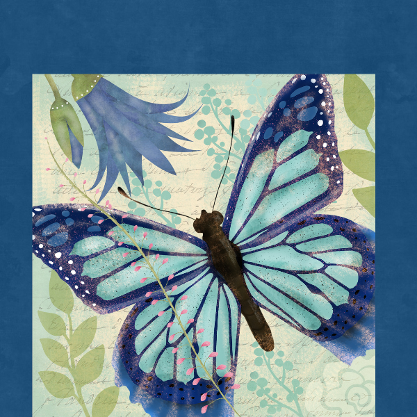 Blue Butterfly Collection