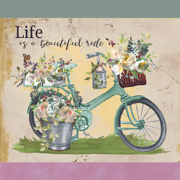 Life Is A Beautiful Ride Collection