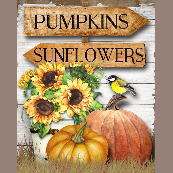 Copy of pumpkins and sunflowers 2